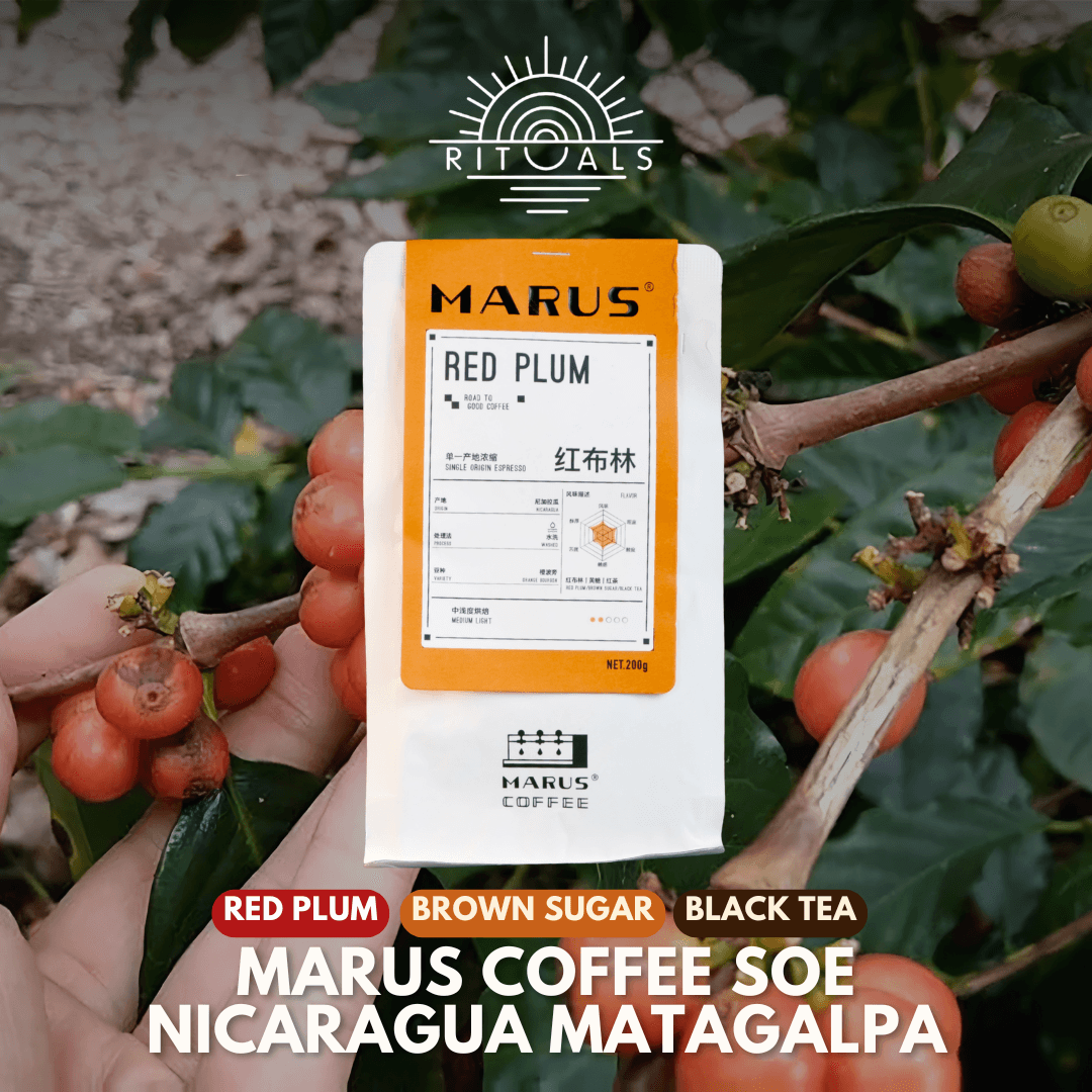 MARUS Nicaragua Matagalpa Red Plum (200g)